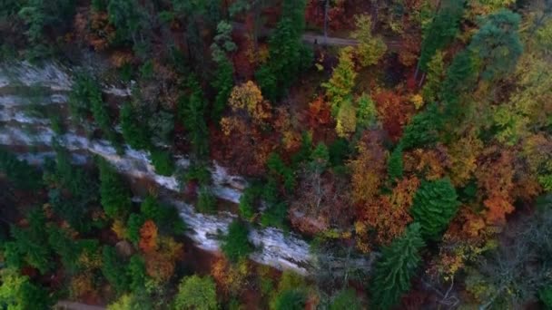 Prachtige 4k antenne drone uitzicht op rood groene kleurrijke bladeren herfst bomen vallen op het platteland bergwoud landschap — Stockvideo