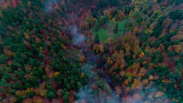 Amazing 4k aerial drone shot of red green colorful leaves autumn fall trees in countryside mountain forest landscape — Stock Video