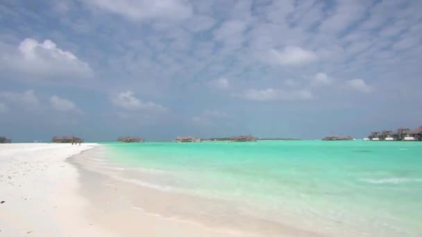 ヤシの木と熱帯海岸線で穏やかなターコイズブルーの海の楽園の波の魅力的な安定したショット — ストック動画