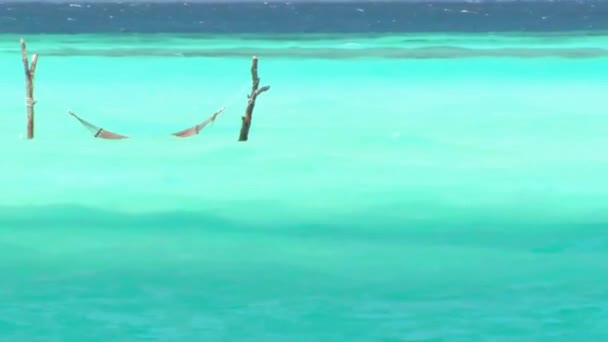 Pequeña Hamaca Entre Dos Ramas Árboles Turquesa Tropical Océano Agua — Vídeo de stock