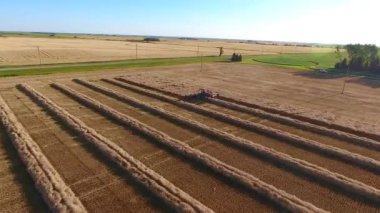 Günbatımındaki buğday tarlasında ekin hasat eden yeni endüstriyel kombinasyon kamyonlarının resimli hava aracı görüntüleri.