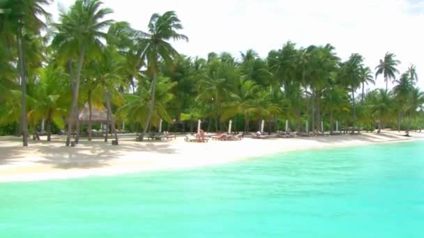 Meraviglioso Panorama Dell Isola Tropicale Delle Maldive Con Spiaggia Palme — Video Stock