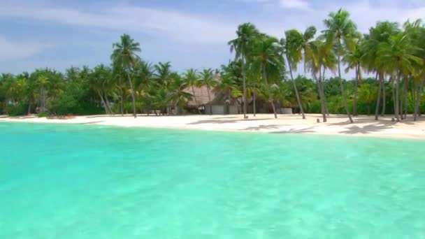 Υπέροχη Πανοραμική Λήψη Του Τροπικού Νησιού Μαλδίβες Φοίνικα Παραλία Άμμο — Αρχείο Βίντεο