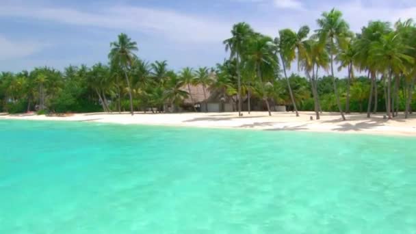 Vidunderlige Panoramashots Tropiske Maldiver Med Palmetreets Strandstrand Luksusparadis – stockvideo