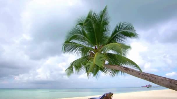 Piccola Sedia Spiaggia Sotto Palma Nel Bellissimo Oceano Tropicale Isola — Video Stock