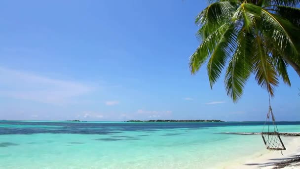 Tropikal Palmiye Ağacının Turkuvaz Mavisi Deniz Manzaralı Rüzgarlı Beyaz Kumlu — Stok video