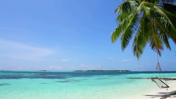 Pittoreska Stadig Paradisutsikt Tropisk Palm Blåsig Vit Sand Lyx Strand — Stockvideo