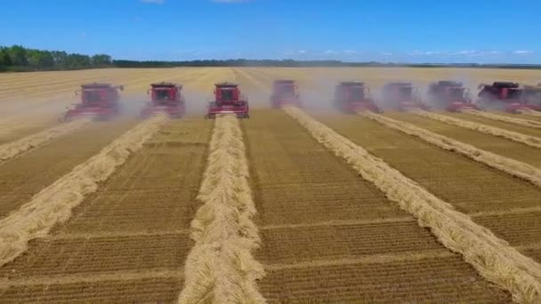 밭에서 농작물을 수확하는 현대의 새로운 트럭의 놀라운 — 비디오