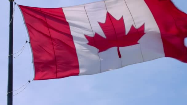 Imponujący Symbol Narodowy Kanada Flaga Czerwony Biały Liść Klonu Sztandar — Wideo stockowe