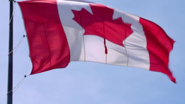 Merveilleux Symbole National Drapeau Canada Bannière Feuille Érable Rouge Blanche — Video