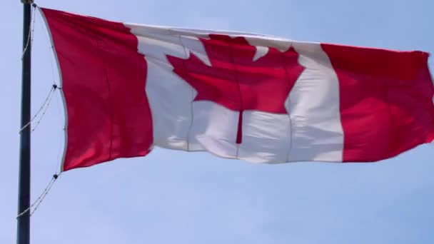 美丽的国徽加拿大国旗红白枫叶横幅飘扬在蓝天晴空万里 — 图库视频影像