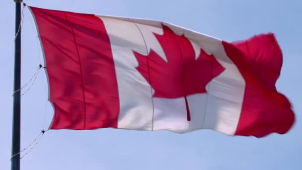 令人惊叹的国家象征加拿大国旗红白枫叶飘扬杆子在蓝天阳光灿烂的背景下 — 图库视频影像