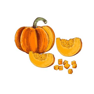 Beyaz arka planda izole edilmiş parça ve küplerle el çizimi renkli balkabağı. Retro biçiminde vektör illüstrasyonu.