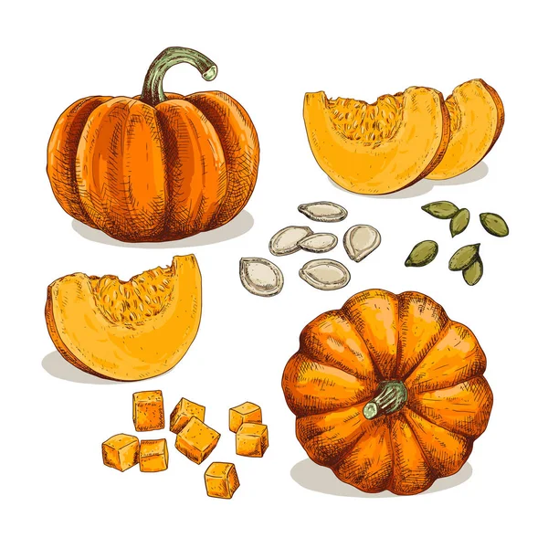 Hand Drawn Colorful Pumpkin Set Sketches Pieces Pumpkin Cubes Seeds — Stock Vector