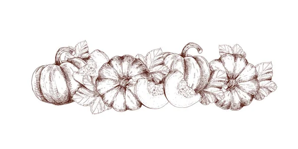 Citrouille Dessinée Main Avec Des Tranches Des Feuilles Illustration Vectorielle — Image vectorielle