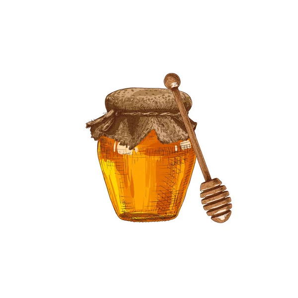 Hand Drawn Colorful Honey Jar Wooden Honey Dipper Isolated White — 스톡 벡터