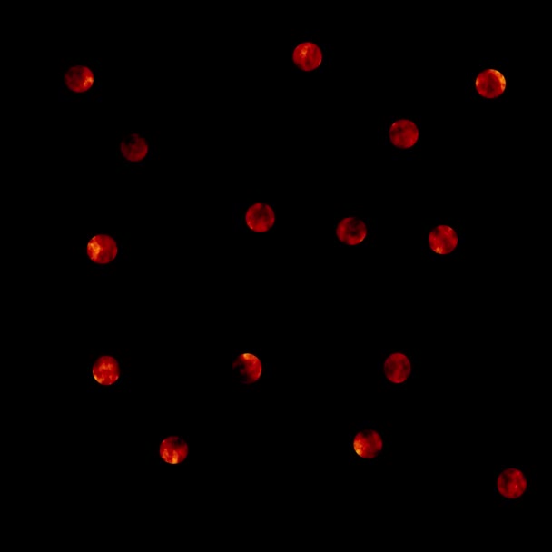 Floating Spheres Black Background — Stock Video