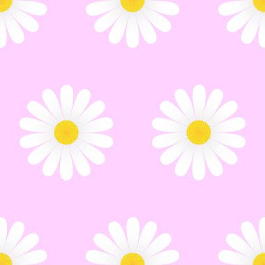 Pembe arka planda beyaz papatya çiçekleri. Vektör illüstrasyonu.