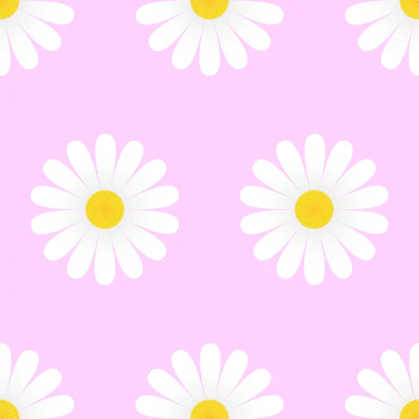 Λευκά Λουλούδια Μαργαρίτα Ροζ Φόντο Αδιάλειπτη Μοτίβο Εικονογράφηση Διανύσματος — Διανυσματικό Αρχείο