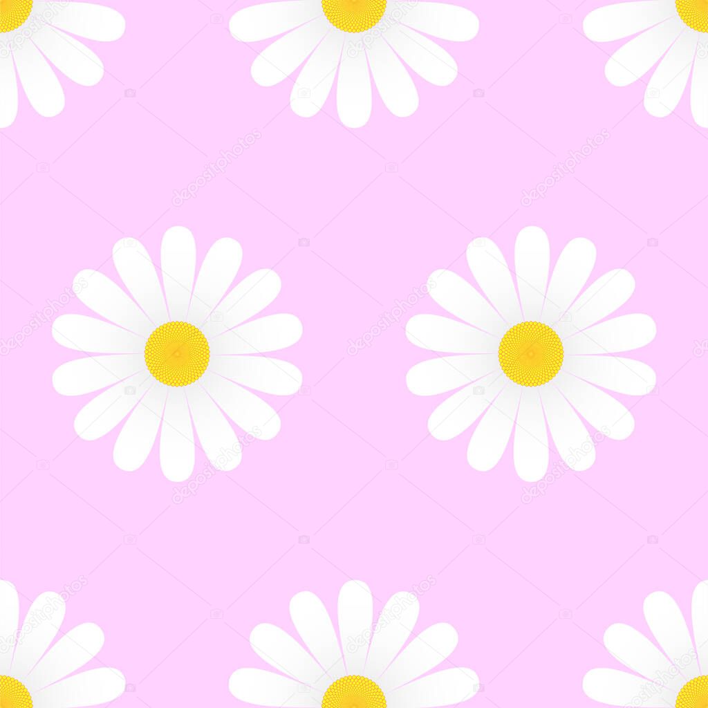 White daisy flowers on pink background seamless pattern. Vector illustration.