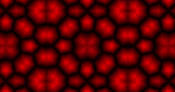Kaleydoskop Gibi Kırmızı Siyah Bir Çiçek — Stok video