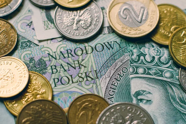 Польських злотих гроші Польський злотий — стокове фото
