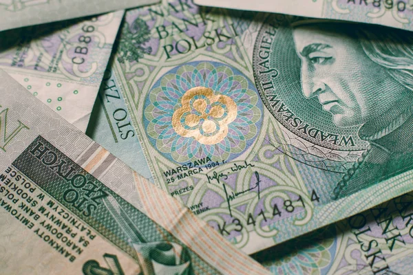 Польських злотих гроші Польський злотий — стокове фото