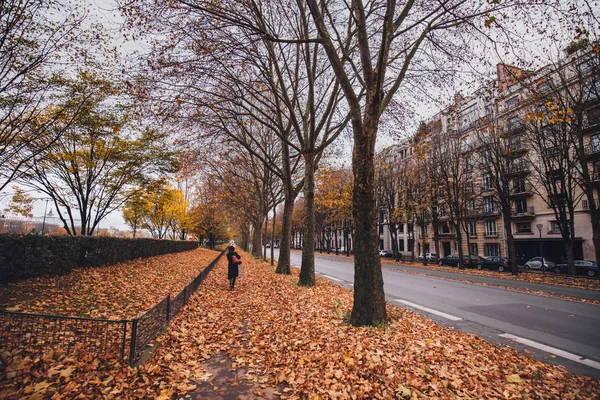 Podzim v Paříži — Stock fotografie