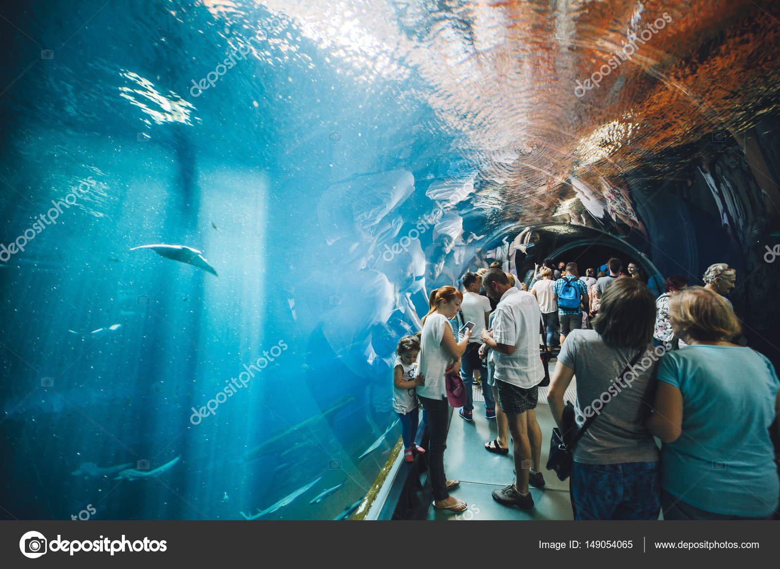 People In Modern Aquarium At The Wroclaw Zoo May 2016 Stock