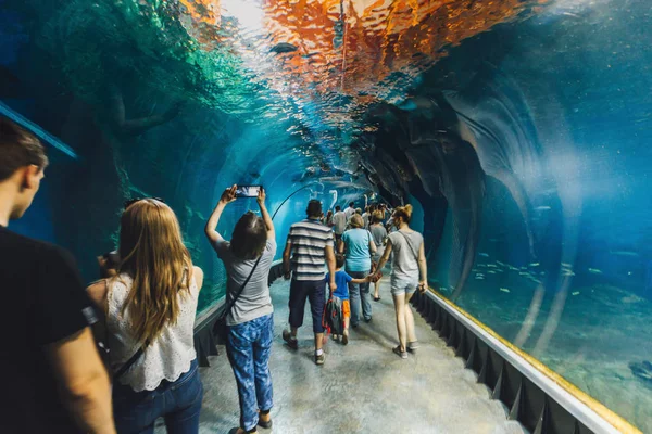 İnsanlar Mayıs 2016 Wroclaw Hayvanat Bahçesi'nde modern akvaryum