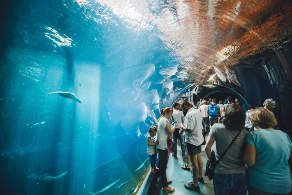 İnsanlar Mayıs 2016 Wroclaw Hayvanat Bahçesi'nde modern akvaryum