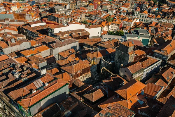Пташиного польоту Porto дахи — стокове фото