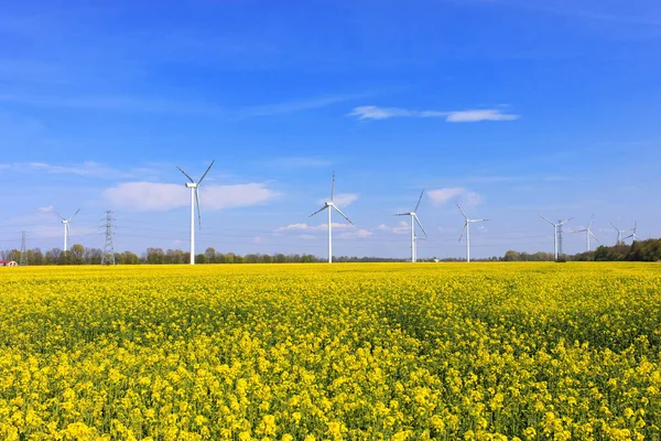 Windräder im gelben Feld Polens — Stockfoto