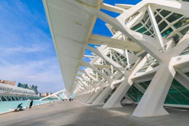 Museo de las Ciencias Principe Felipe şehir sanat ve Bilimleri, tasarlanmış Santiago Calatrava - Valencia, İspanya tarafından - Şubat 2017 mimari kompleks