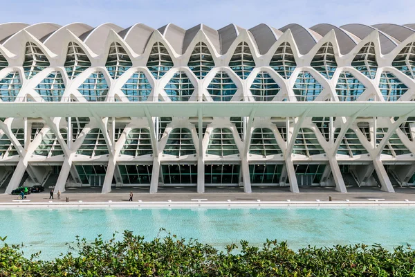 Museo de las Ciencias Principe Felipe at The City of Arts and Sciences, the architectural complex designed by Santiago Calatrava - Valencia, Spain - February 2017 — Stock Photo, Image