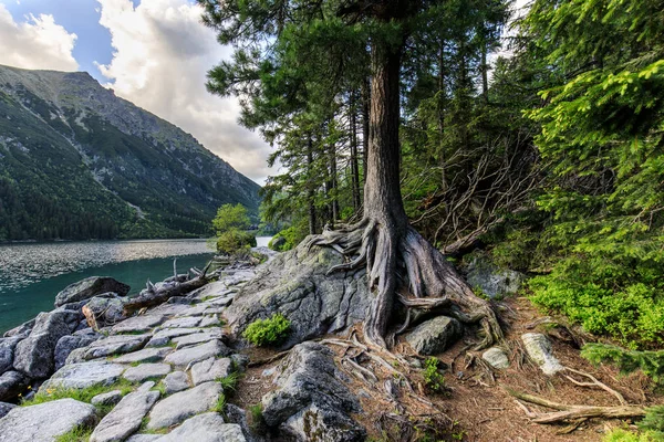 Eye of Sea (Morskie Oko) lago no Tatra Mointains na Polônia — Fotografia de Stock