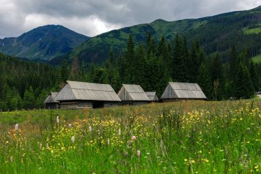Tatra Dağları Dolina Chocholowska, geleneksel ahşap kulübe