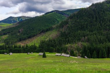 Tatra Dağları Dolina Chocholowska, geleneksel ahşap kulübe