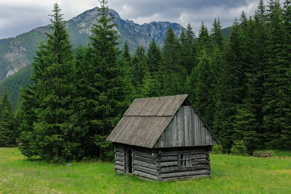 Traditionella trä koja i Tatrabergen på Dolina Chocholowska — Stockfoto