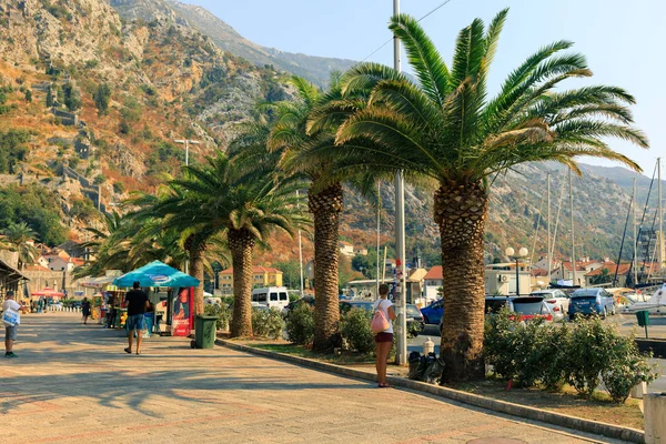 Kotor şehir, Karadağ - Ağustos 2017 çıkabilir, palmiye ağaçları — Stok fotoğraf