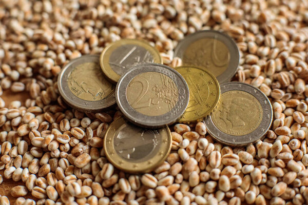 Euro coins and cereal grains of wheat
