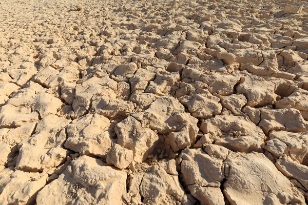 Torka marken i Israels öken — Stockfoto