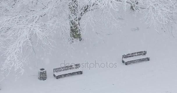 Bancos Parque Durante Intensa Nevada Invernal — Vídeo de stock