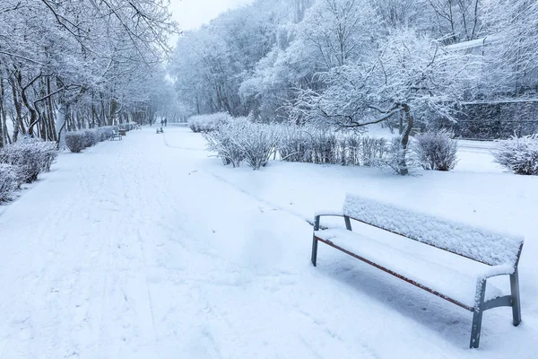 Temporada Inverno Polônia Árvores Banco Vazio Parque Durante Forte Queda — Fotografia de Stock