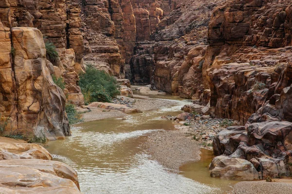 Ingresso Della Riserva Wadi Mujib Del Canyon Giordania Inverno — Foto Stock