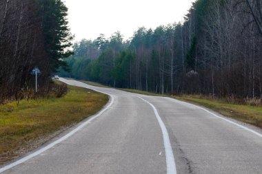 Yoğun bir ormanda otoyol