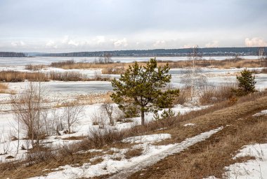 Büyük Kama Nehri 'ndeki kara bahar buzu, adalar ve kıyı bitkileri.