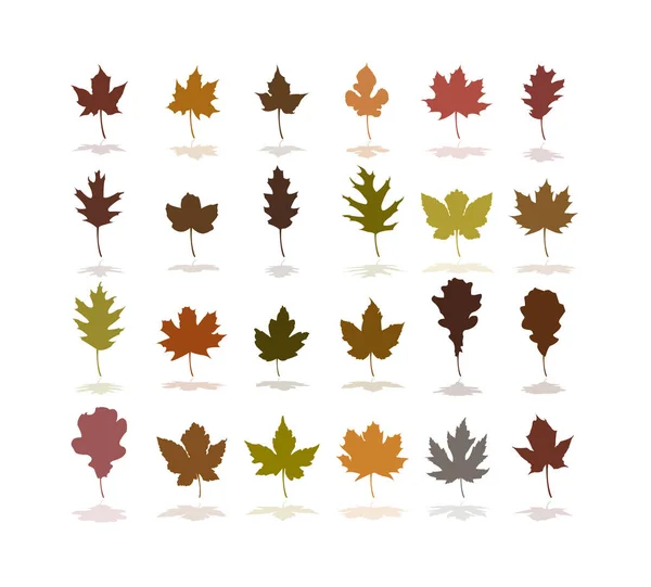 Set of colorful autumn leaves — Stock Vector