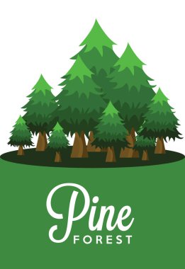 çam ormanı yeşil ağaçlar