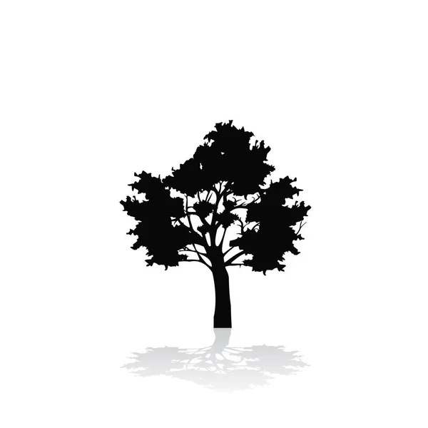 Silhouette of one tree with shadow — Stock Vector